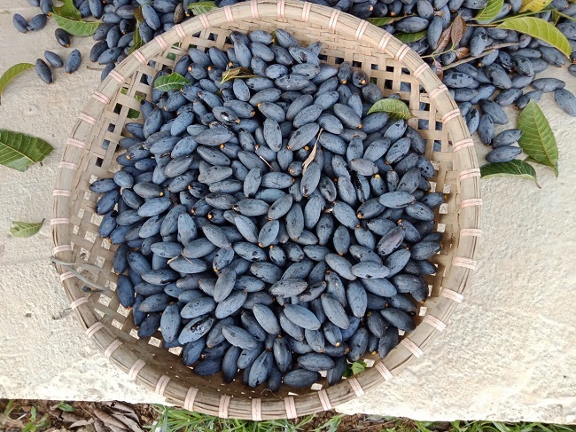 Trám om, trám kho là một trong những món ăn đặc sản Thanh Thủy.